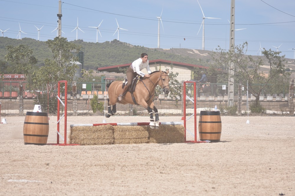 Jornadas de Equitación de Trabajo en Falces